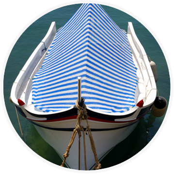 Protectrice de coque